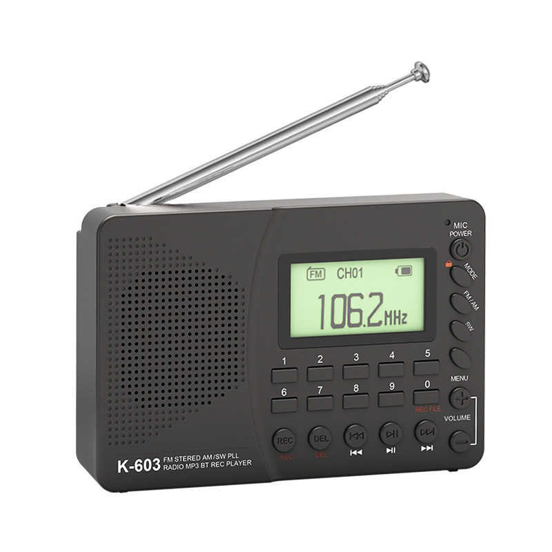 Portable Radio FM AM SW Radio Receiver DSP Shortwave FM Speaker Support TF Card USB REC Recorder Bluetooth-compatible MP3 Player