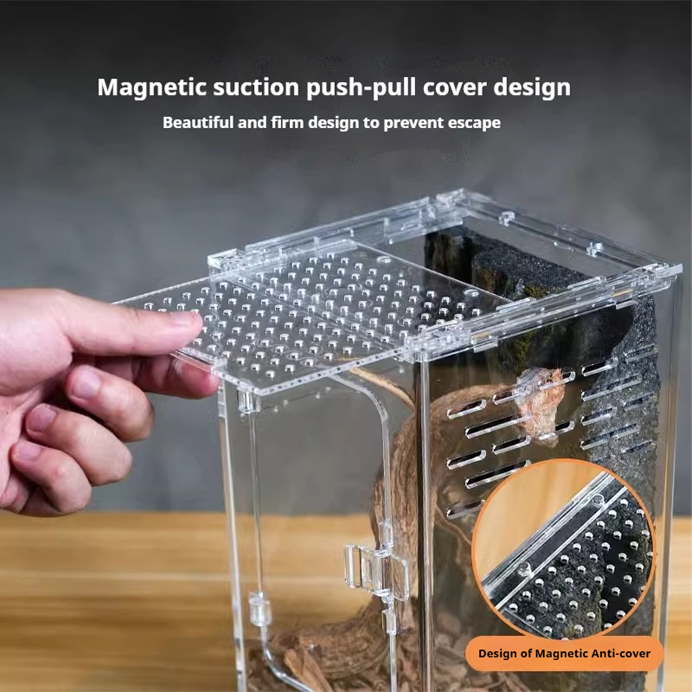 Petite boîte d'élevage de reptiles, Ventilation, amphibiens, Terrarium, élevage d'insectes, araignée, enceinte arboréale, Cage d'habitat de lézard
