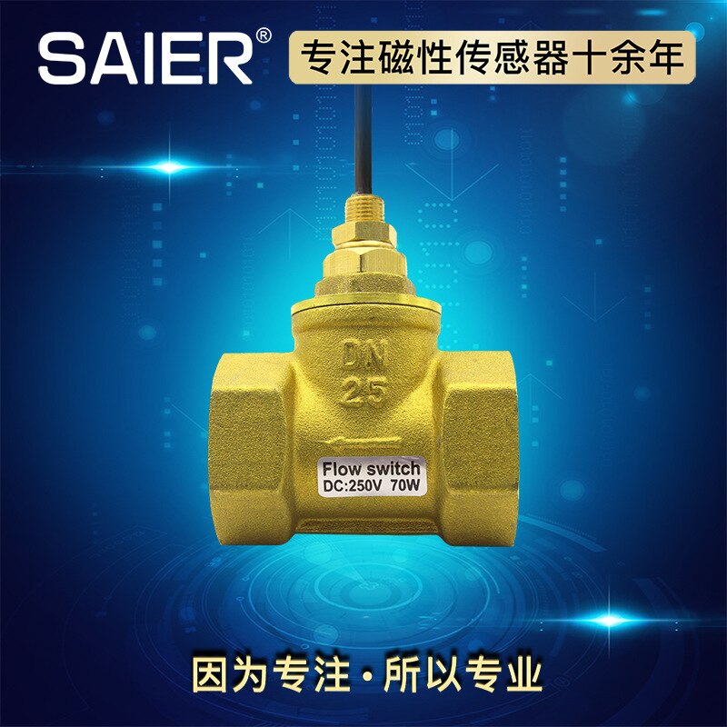 Reed switch principle water flow switch Piston type water flow switch Copper water flow switch Liquid flow switch