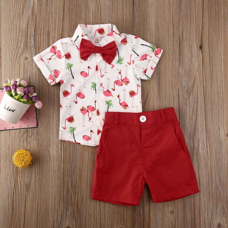 Baby sommer tøj småbørn børn baby dreng flamingo tøj kortærmet skjorte toppe shorts bukser 2 stk outfits