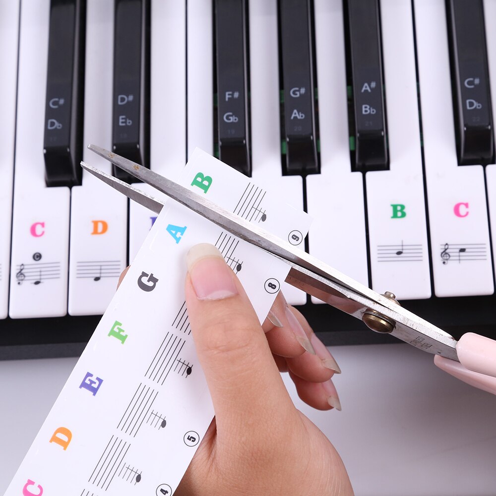 Transparent Piano Keyboard Sticker Laminated Piano Sticker Set PVC Educational Toys for Keyboard Instruments