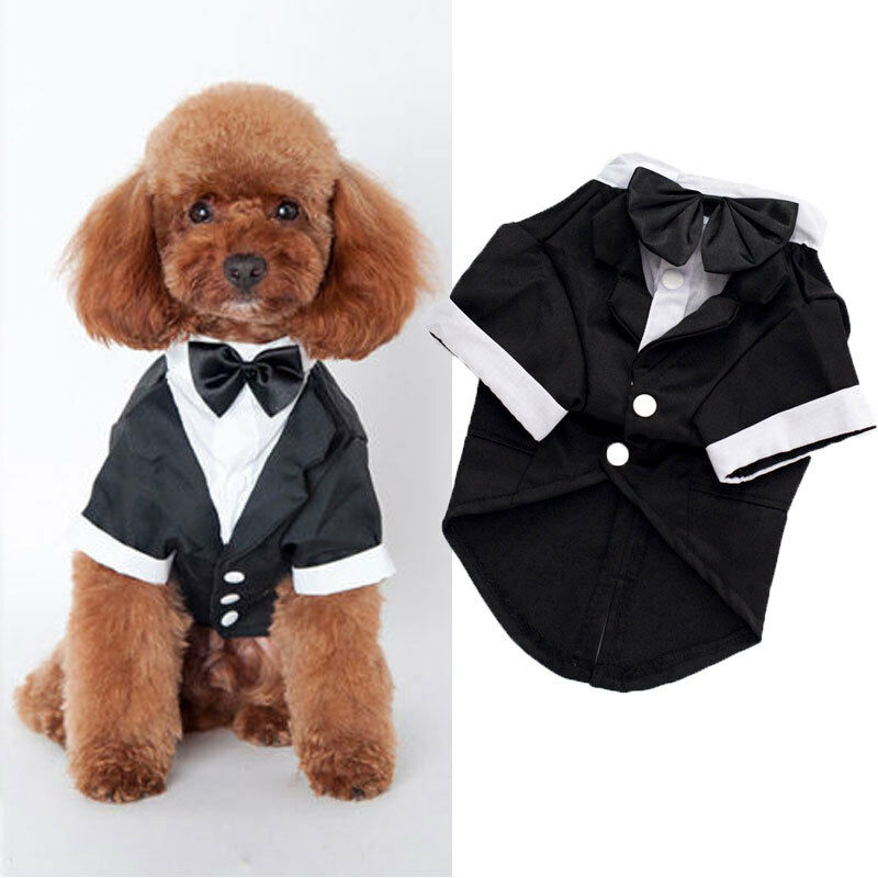 Ropa para perro, disfraz de boda para gato, príncipe, caballero, Chihuahua, esmoquin, pajarita, abrigo para cachorros, 5 tamaños, suministros para Mascotas