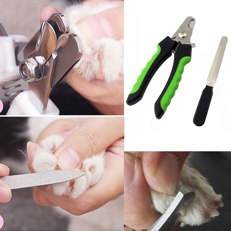 Cortaúñas para mascotas, lima de uñas para perros, gatos, garra, cortador de patas, tijera, herramienta de aseo para razas pequeñas, medianas y grandes