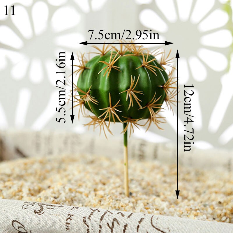 Graines de graines pour Aquarium, plante aquatique, graines faciles, Aquarium, aménagement paysager: 11