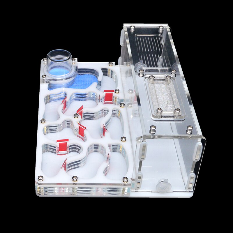 Diy akrylmyrbo stort stor myrgård med utfodringsområde stort myrahus för myrstack med verkstadslott 15*20*7.5cm