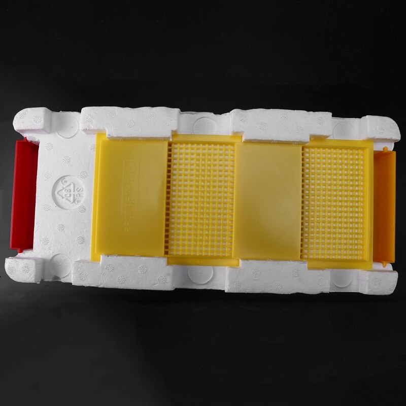 Colmena de abeja multifuncional, Material de espuma de plástico, caja doble, herramienta de apicultura para cría de abejas Queen