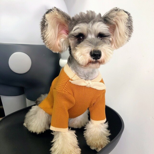Dog Sweater Bowknot Plain Knit Sweater Cute Small and Medium-sized Dog Schnauzer Teddy Hiromi Cat Fall and Winter Clothing