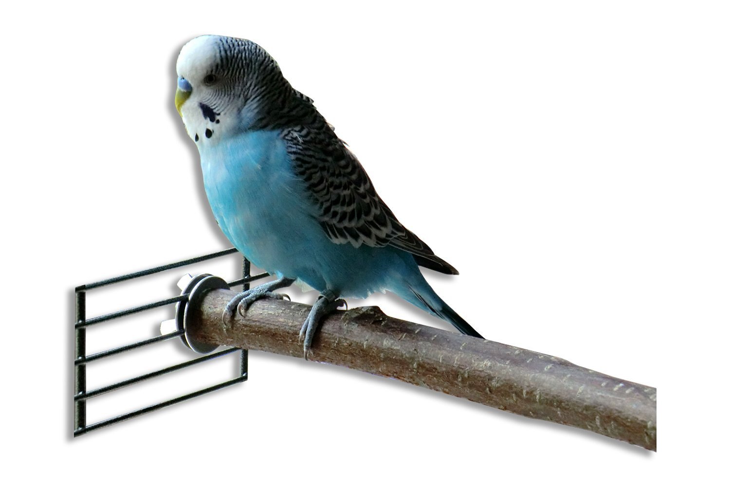 Papegaaien kauwspeelgoed vogel speelgoed boomstam speelgoed speeltuin set station bar standaard schommel zachte brug tak