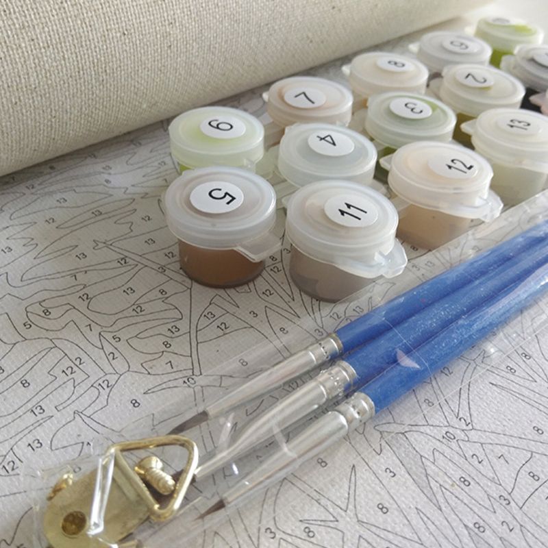 Paint For Adults and Kids DIY Oil Painting Kits Pre-Printed Canvas 2XPF