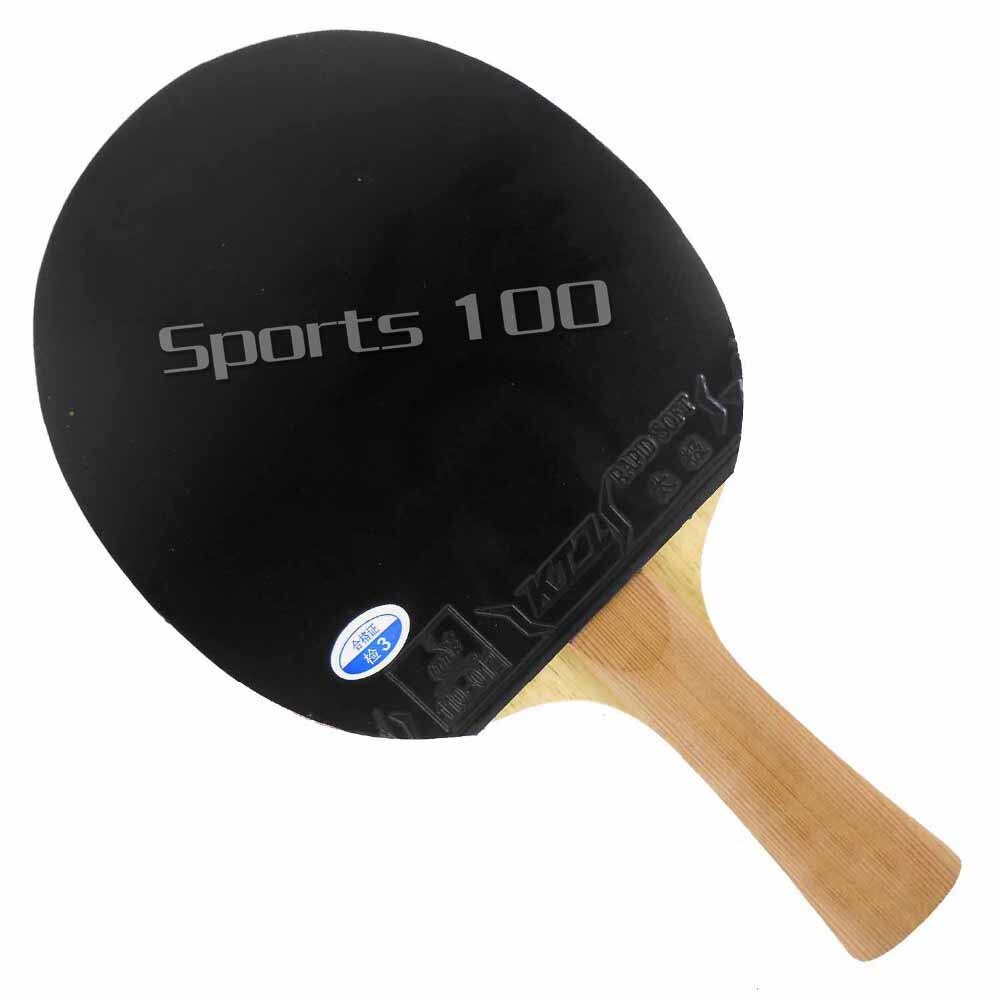 Pro Table Tennis PingPong Combo Racket Galaxy YINHE T-11+ with DHS Skyline TG3 KTL Rapid SOFT Long Shakehand FL