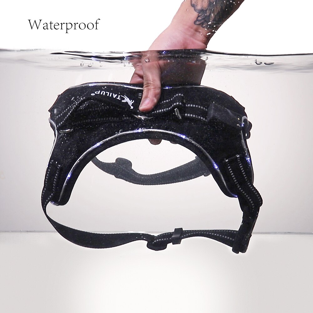 Huisdier Producten voor Grote Hond Harnas Verstelbare Led Kraag Puppy Lood Huisdieren Vest Hond Leads Accessoires Chihuahua Hond Levert