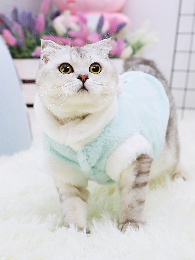 Winddicht Mode Kat Hoodies Winterjas Katten Producten Huisdieren Pak Voor Koud Weer Ropa Para Gatito Huisdier Producten OO50WY