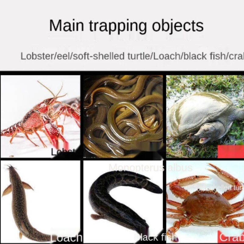 Fish Net Shrimp Cage Multi Specification Moving Net Folding Fishing Lobster Net Umbrella Cage Fishing Gear Pratical