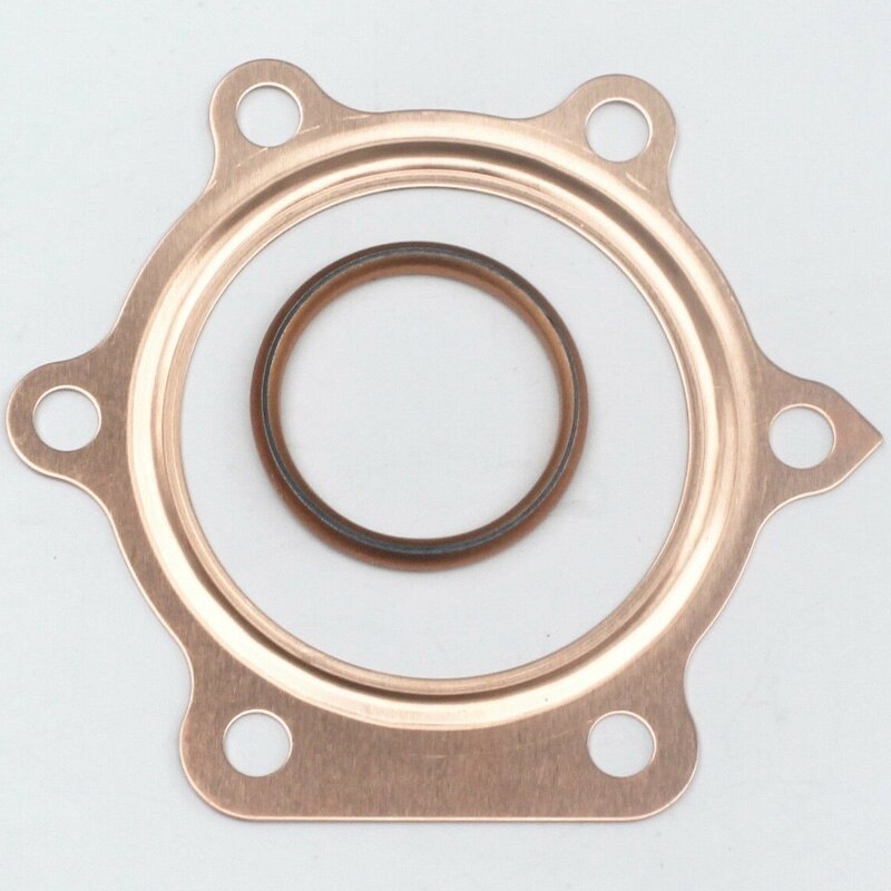 Gasket Kit Complete Set for Yamaha Blaster YFS200 1988-2006 with Oil Seals