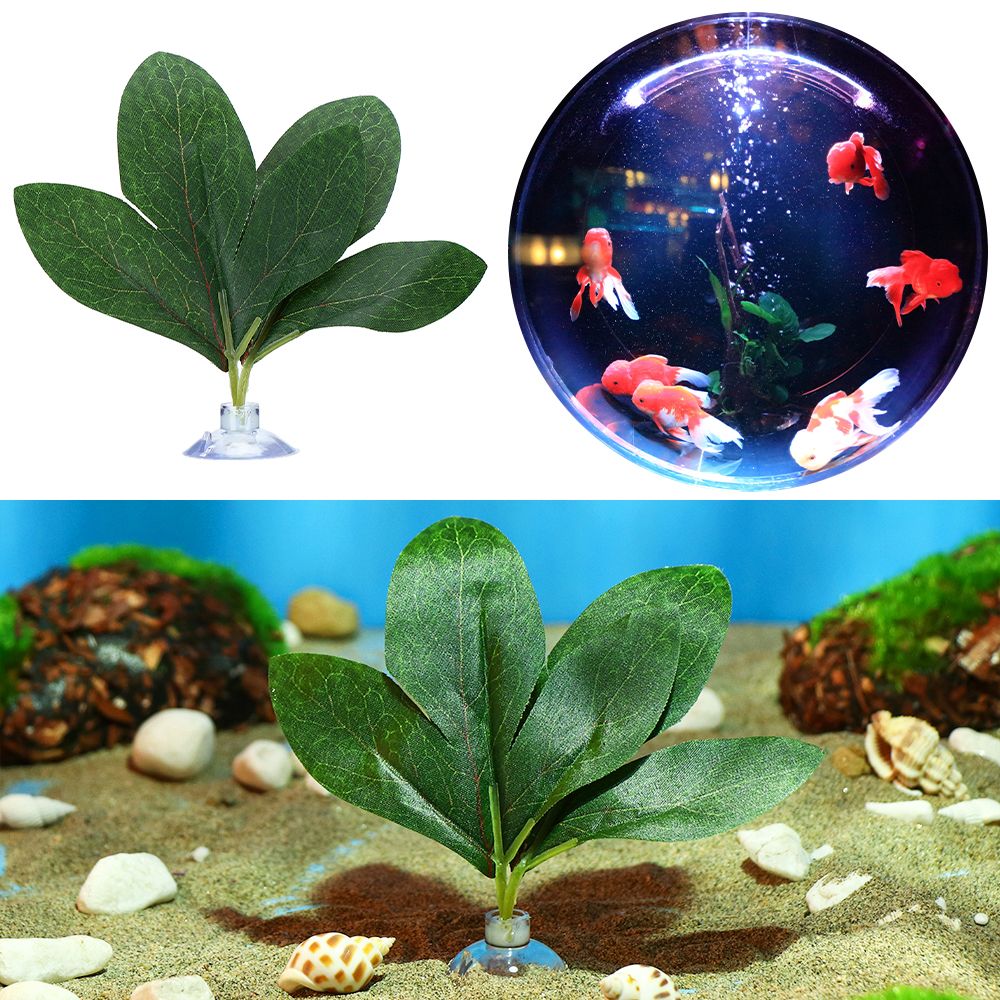 Play Fish Tank Resting Oviposition Leaves Landscaping Aquatic Plants Betta Leaf Fish tank Plants Simulation