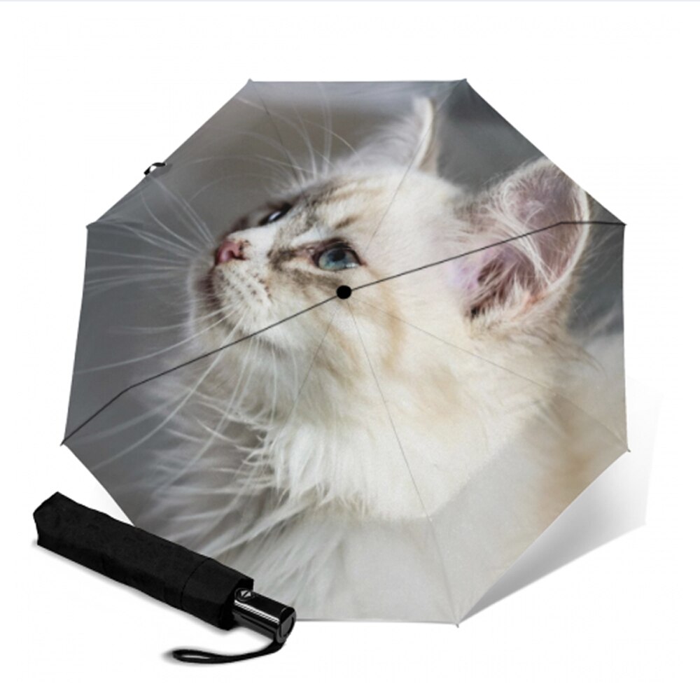 Paraguas de Sol de gato blanco para mujer, protector solar de gatito, 3 Paraguas plegables para niños, Parapluie de Anti-uv: YSA1542