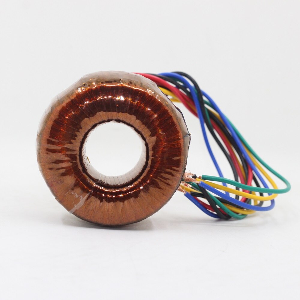 50W Toroidal Transformer Dual 220V 6.3V