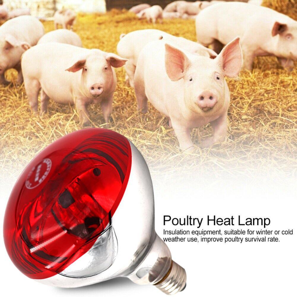 Breeding Heating Lamp For Pig Chicken 100/150/200/250W Agricultural Light Heat Lamps Infrared Ray LED Hatch Dog Cat Red Color