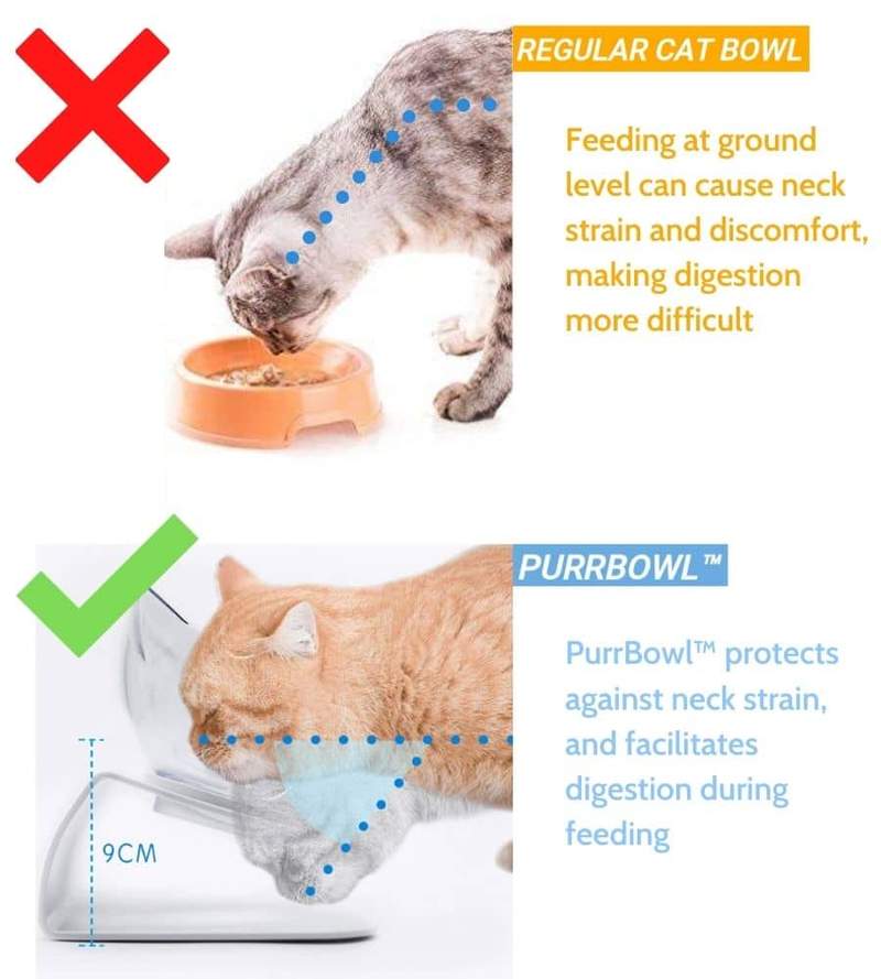Orthopedic Anti Vomiting Cat Feeder 15 ° Inclined Dog Bowl Transparent AS Material Non Slip Protection Cervical Pet Great