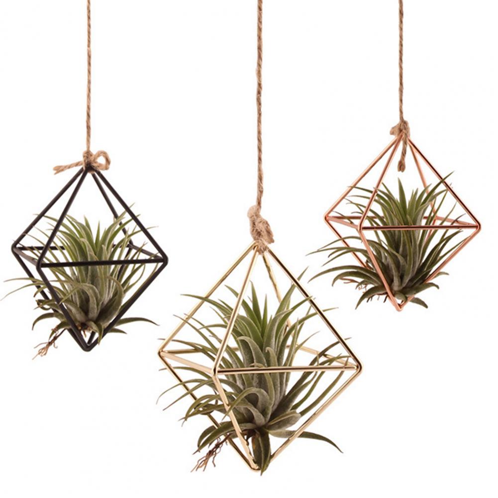 Metall Pflanzenständer Vermehrungsstationen Glas Terrarium Pflanzen Geometrische bilden Pflanze Eisenständer Luftpflanzenhalter Heimat Dekor