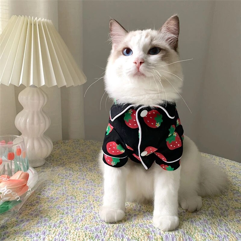 Spring Cat Costume Cute Cozy Pet Clothes for Cats 2022 Hoodie Sweatshirt Cat Sweater Pets Clothing Outfit: black / S