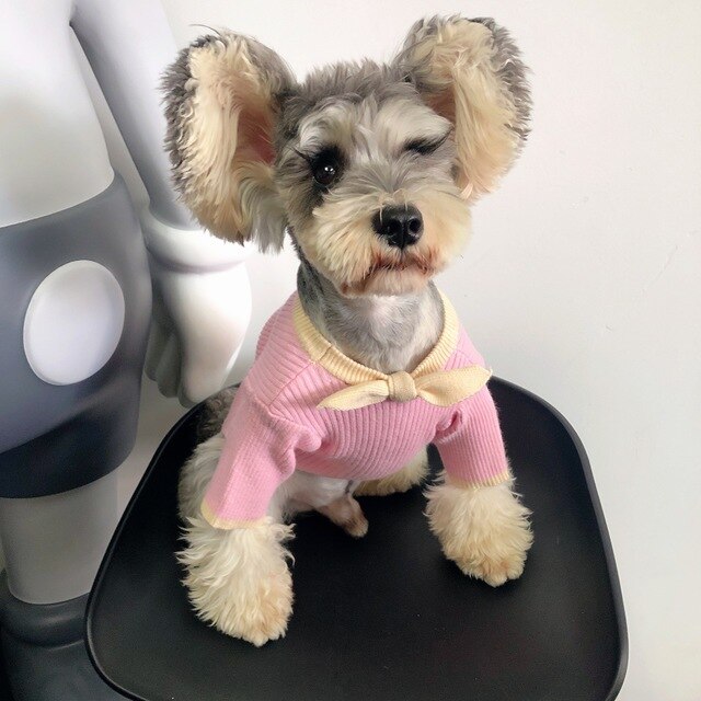 Dog Sweater Bowknot Plain Knit Sweater Cute Small and Medium-sized Dog Schnauzer Teddy Hiromi Cat Fall and Winter Clothing