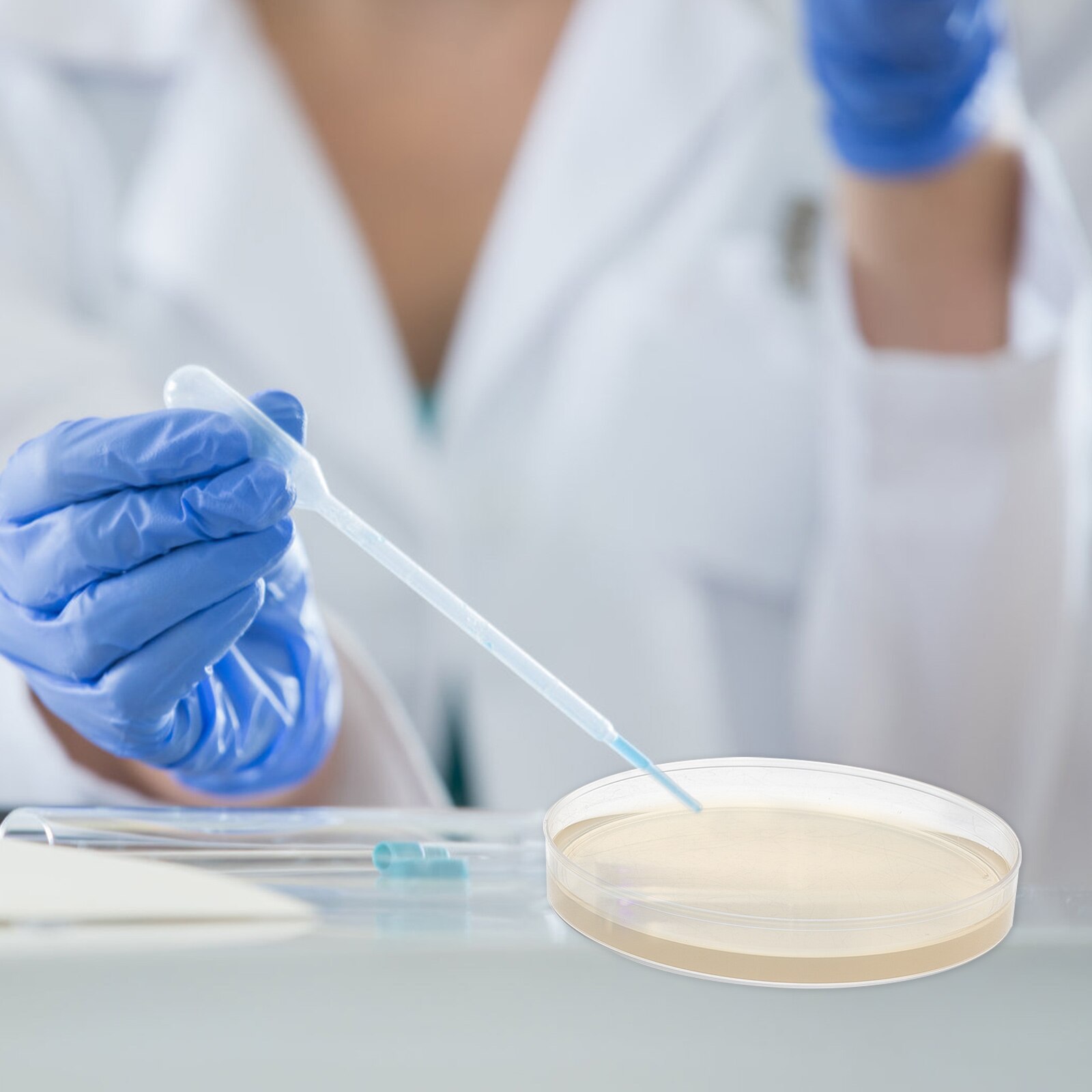 10pcs Pre-Poured Agar Plates Labs Petri Dishes with Agar General Growth Medium