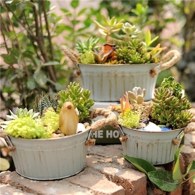 2 stk rustikk tinn blomsterpotte bryllup hage dekorasjon bøtte vintage metall kunstig blomsterplante saftig fatpotte rund oval