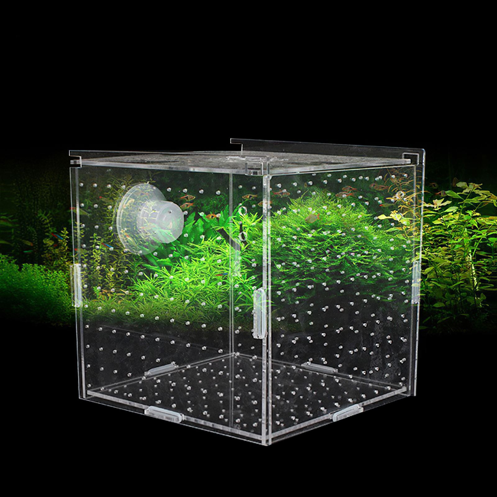Acrylic Fish Breeding Box Transparent Isolation Box Breeder Portable Fish Hatchery Box Hatching Boxes Accessory For Pets Breed