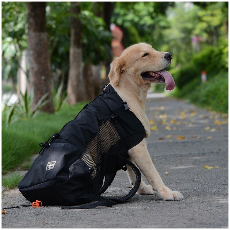 Haustier Hund Träger Reise Rucksack Schulter Hund Outdoor Tasche Lüftung Atmungs Fahrrad Motorrad Outdoor Wandern Sport Tasche: Black / S
