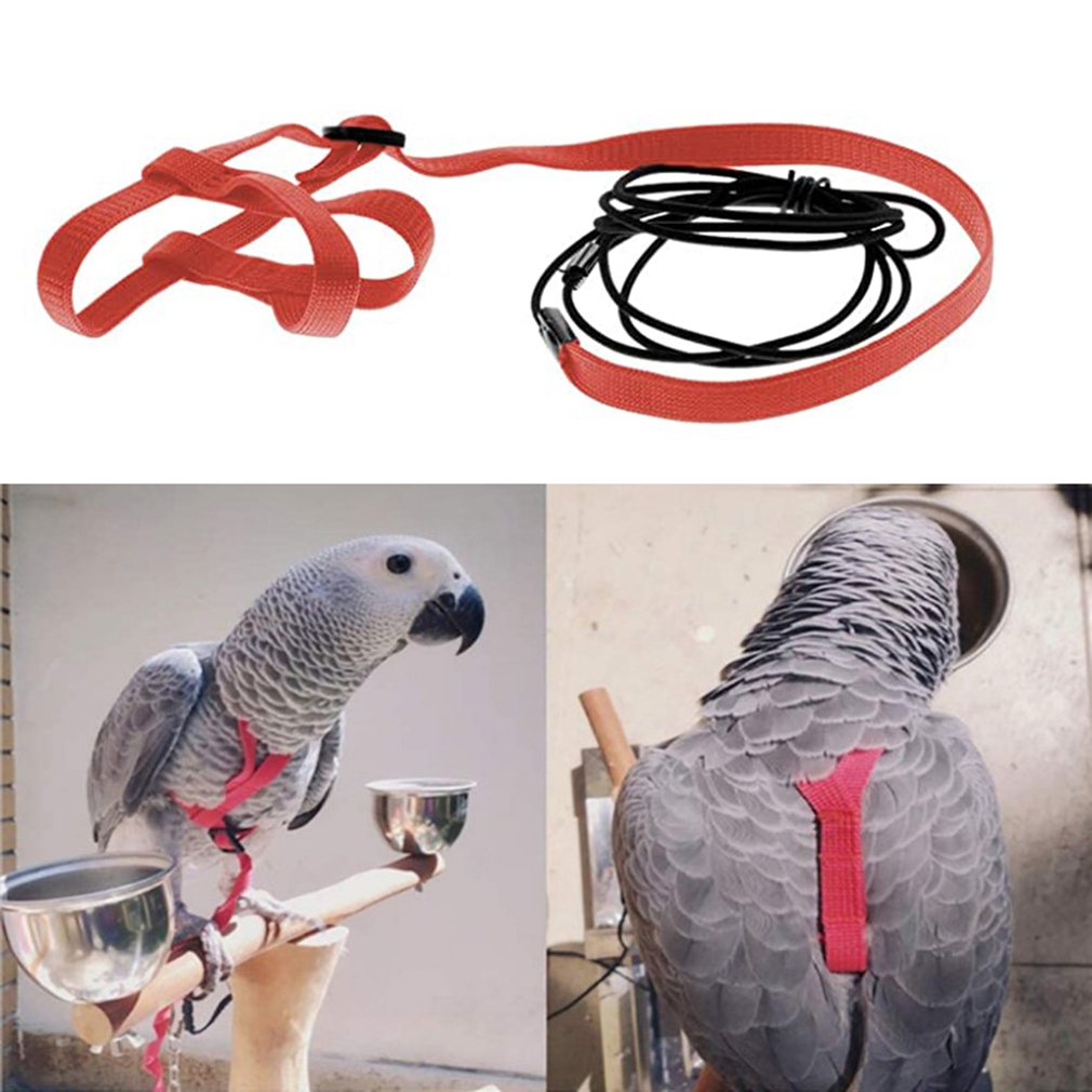 Nylon Verstelbare Bird Harness Duurzaam Elastische Stof Ademend Training Vest Vogel Veilig Harnas Papegaai Kaketoe Levert