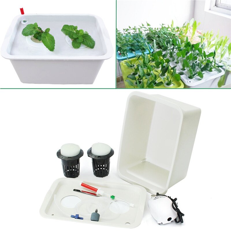 220V Plant Site Hydrocultuur Systeem 2 Gaten Indoor Tuin Kast Box Grow Kit Bubble Tuin Potten Plantenbakken Kwekerij Potten