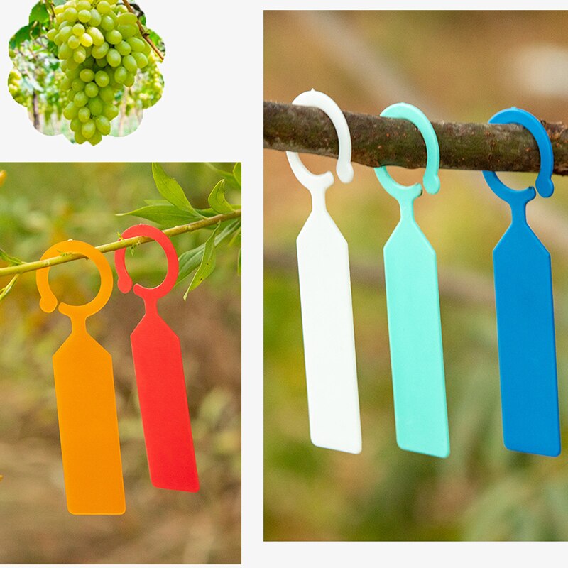 100pz marcatori per piante in plastica etichette per piante da vivaio impermeabili pennarelli per alberi da giardino pennarelli per piante colorati strumenti per segni di vassoi
