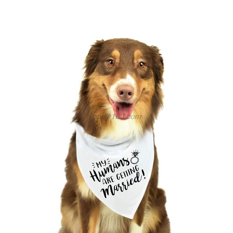 Hund Hochzeit Bandana Mein Menschen sind Immer Verheiratet Sagte sie Ja Haustier Dreieck Lätzchen Schal Halstuch Engagement Announcemet