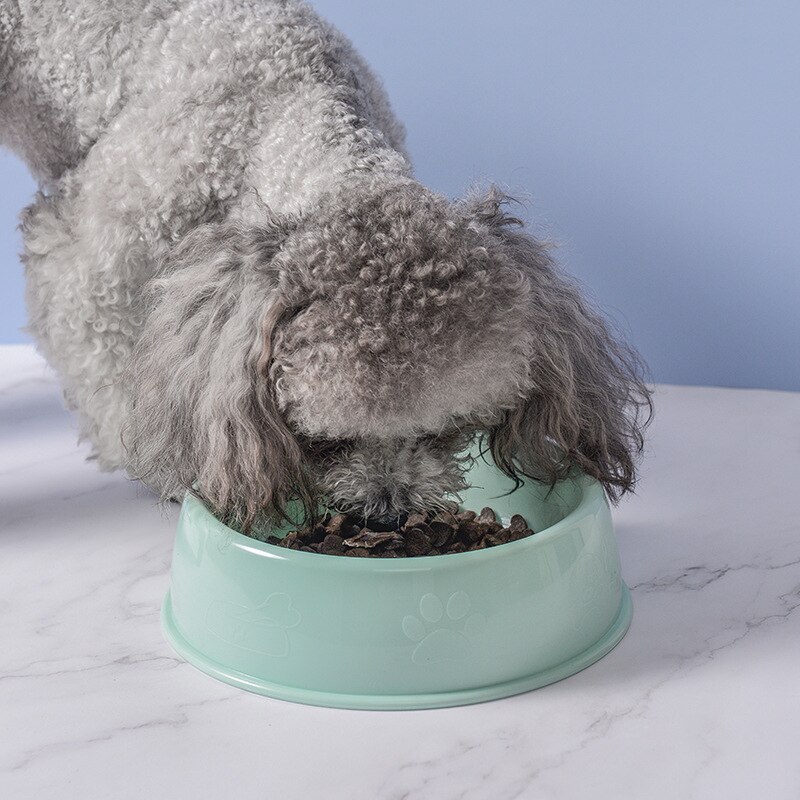 Bol à chien sûr et facile à nettoyer en plastique chat et chien bol peut nourrir l'eau chat et chien bol fournitures pour animaux de compagnie accessoires pour chiens