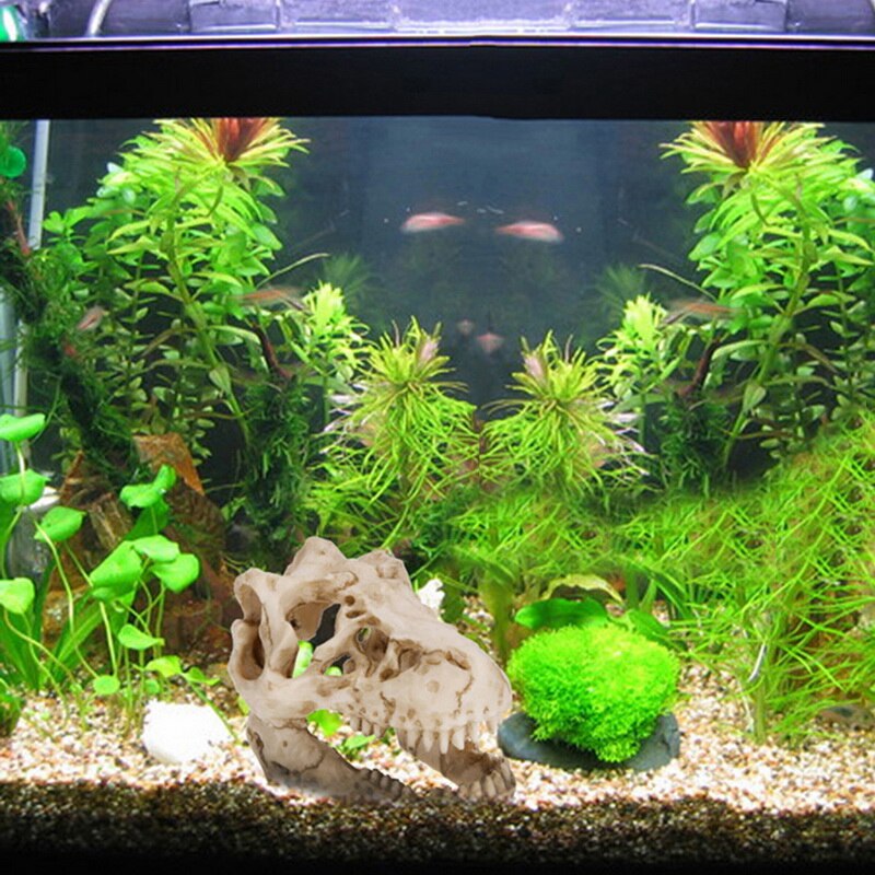 Hars Aquarium Decoratie Krokodil Schedel Voor Aquarium Hars Dinosaurus Hars Schedel Reptiel En Hagedis