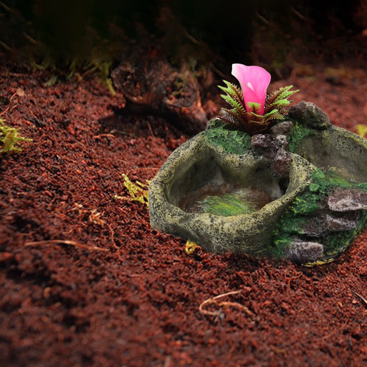 Reptile Water Dish Food Bowl Resin Feeder Bowl for Tortoise Lizard Plant Decorative Resin Bowl Food Water Dish Feeder