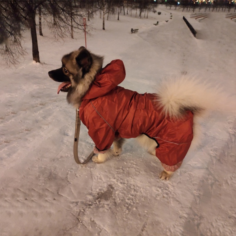 Breathable mesh Large Dog Raincoat Waterproof Outdoor big Dog Clothes Coat Rain Jacket Reflective Medium Large big dog poncho