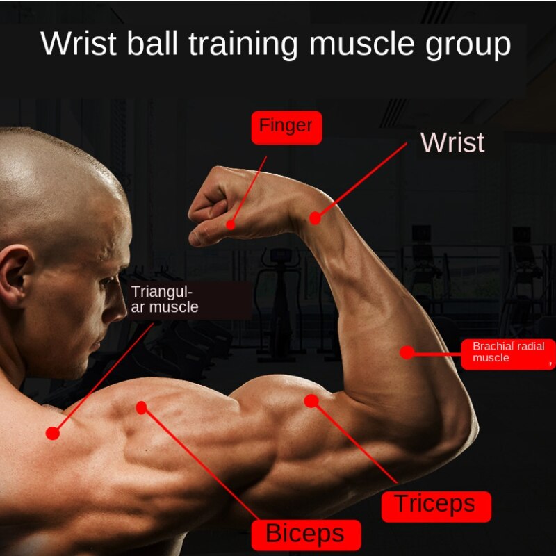 Ejercitador de mano giroscopio contador de bolas, Bola de fuerza de muñeca, bola giroscópica, brazo de Metal, ejercitador de relajación muscular, gimnasio de arranque automático
