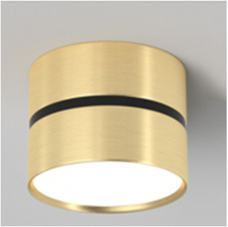 Led Surface-Mounted Downlight Slaapkamer Corridor Home Light 9W/12W Garderobe Eenvoudige Moderne Woonkamer AC85-265V: WHITE / 4w / Blauw