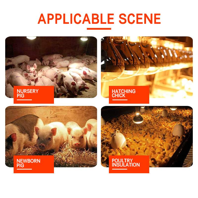 E27 100W/250W 220V Farm Red Heat Lamp Pet Poultry Brooder Hatch Chicken Piggy Dog Cat Thermal Lamp Smart Infrared LED Light