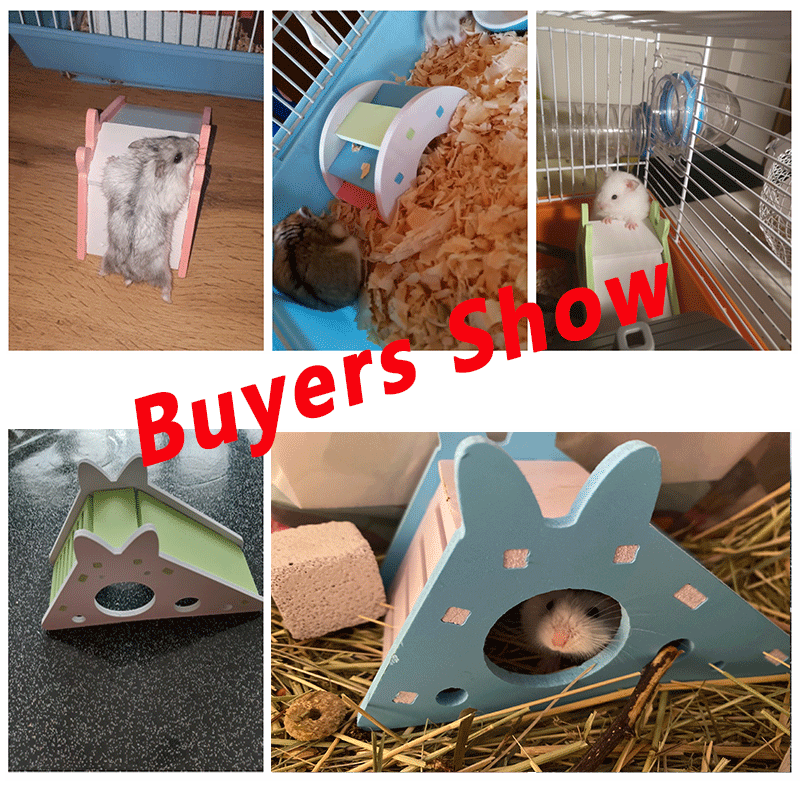 Montiert Hamster Rutsche Spielzeug Guinea Schwein Goldene Bär Lustige Atmungsaktive Hamster Haus Nest Chinchillas Hamster Zubehör