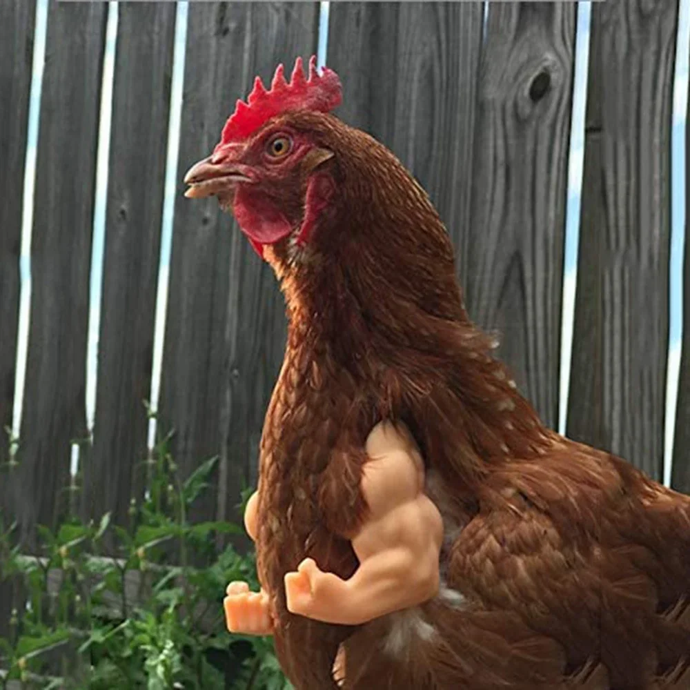 Bras de Musculation Artificiel Jetable pour Pigeon Poule, Jouets de ixà Thème pour Animaux de Compagnie, Accessoires de Gastronomie Amusants: green