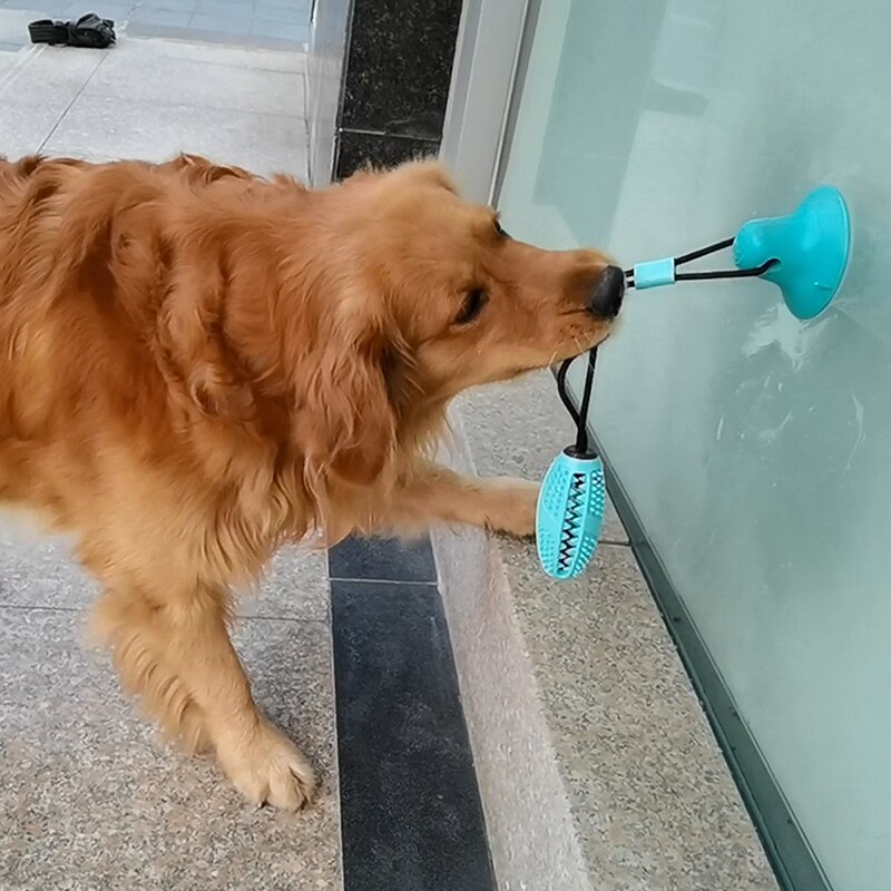 Silicon Pet Dog Toys Suction Cup Tug Dogs Chewing Push Ball Toy Pet Tooth Cleaning Dog Toothbrush for Puppy large Dog Biting Toy