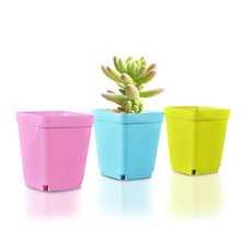 Bijpassende lade plastic tuin bloempot kleur vierkante kleine pot multi-vlees plastic bloempot kleine plant zaailing pot