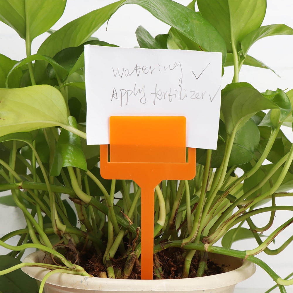 20 stuks tuinlabels, plastic plantenbak, zaadlabel, marker, t-vormige kweekpotten, insteekkaart, waterdichte labels, kasgereedschap