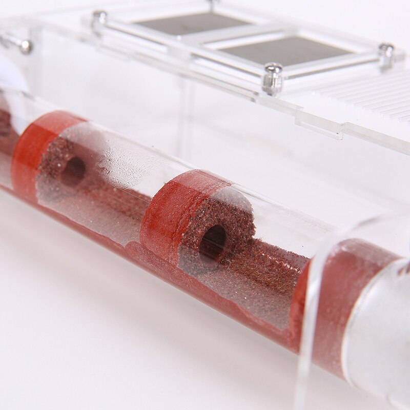 Koeputki kosteus iso tila muurahaispesä, muurahaisfarmi akryyli, hyönteismuurahaiset huvila talon muurahaiset ekologinen työpaja