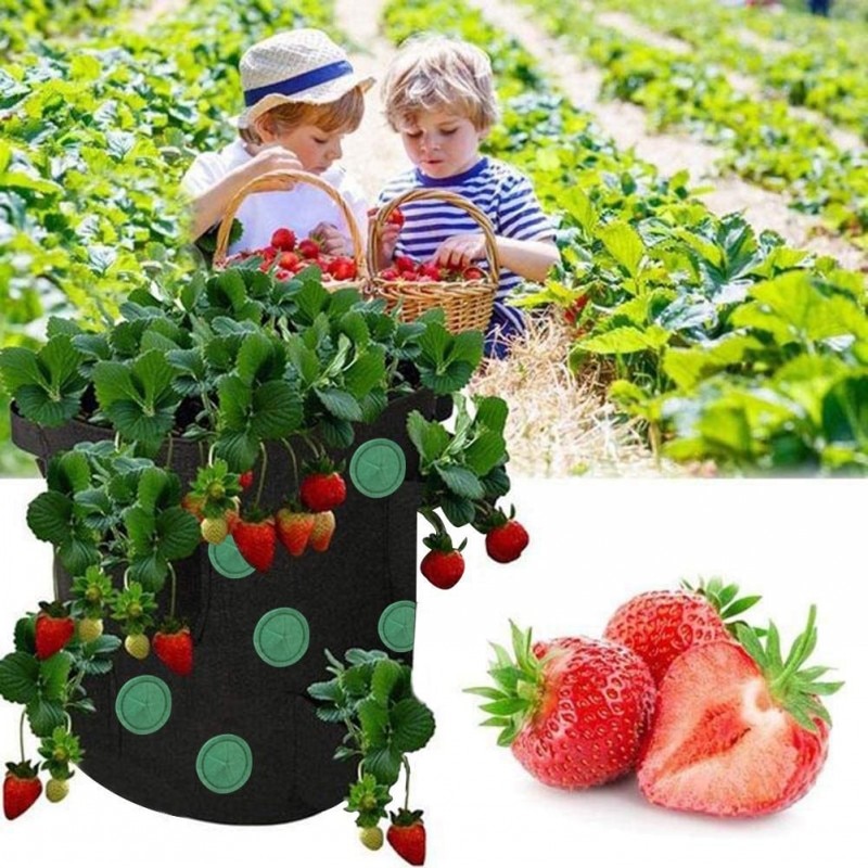 Bolsa de cultivo de fresas, tela no tejida Vertical para jardín, bolsa colgante para plantas, plantador de patatas y verduras para invernadero, 3 uds.