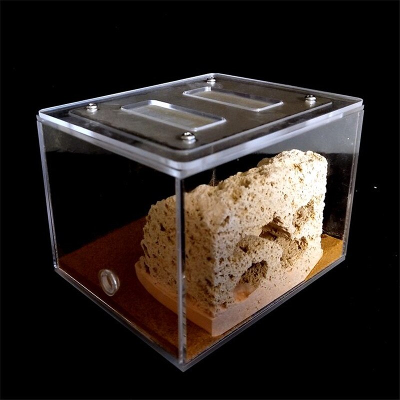 Sand Included Bionic Acrylic &amp; Gypsum Ant Nest Housing Ants Farm Formicarium For Ant Colony