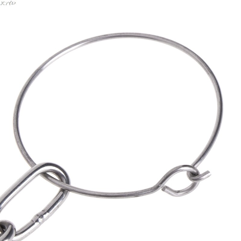 Parrot Leg Ring Bird Ring Outdoor Flying Training Activity Opening Foot Ring Accessories Pigeon Supplies